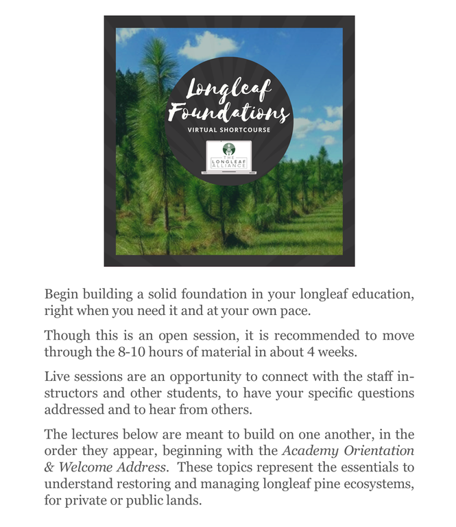 FoundationsSeriespagetext2022.png