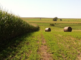 Webinar Preview Image