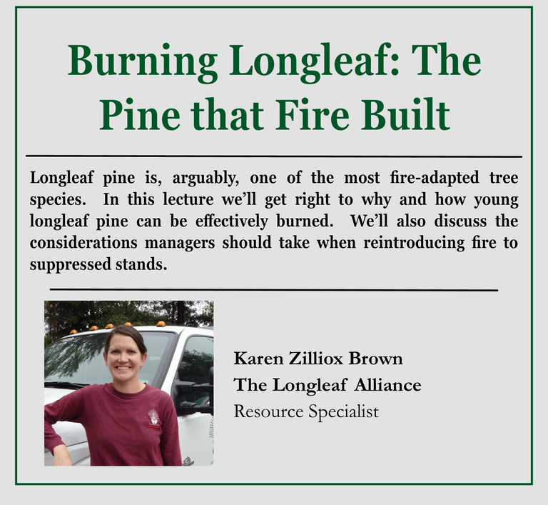 Fire description
