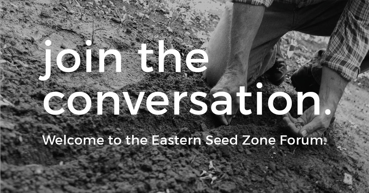 Webinar Preview Image