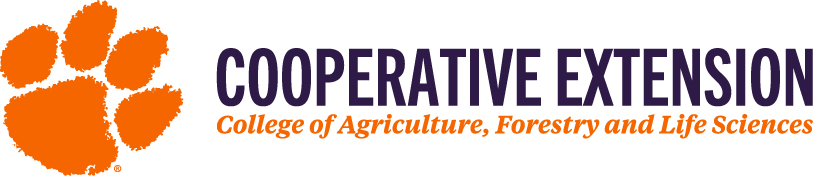 Webinar Sponsor Image