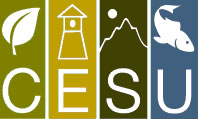 Webinar Preview Image