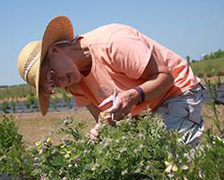 Dr. Joan Walker -- cropped