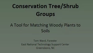 Webinar Preview Image