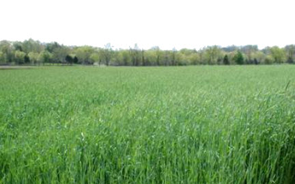 Webinar Preview Image