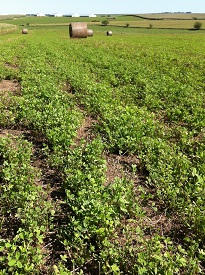 Webinar Preview Image