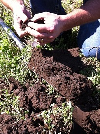 Webinar Preview Image