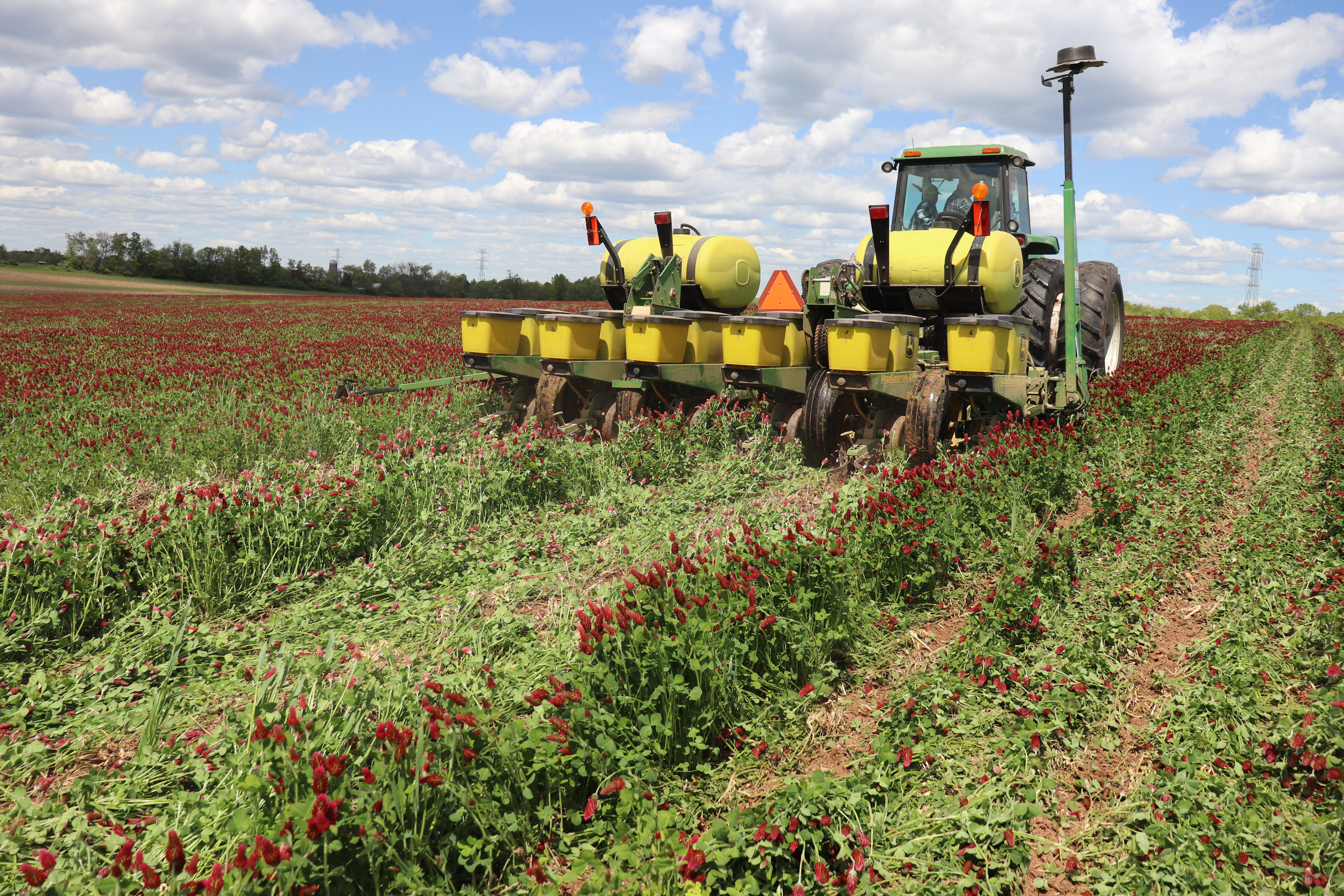 Webinar Preview Image