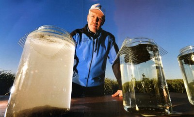 Integrating Livestock image