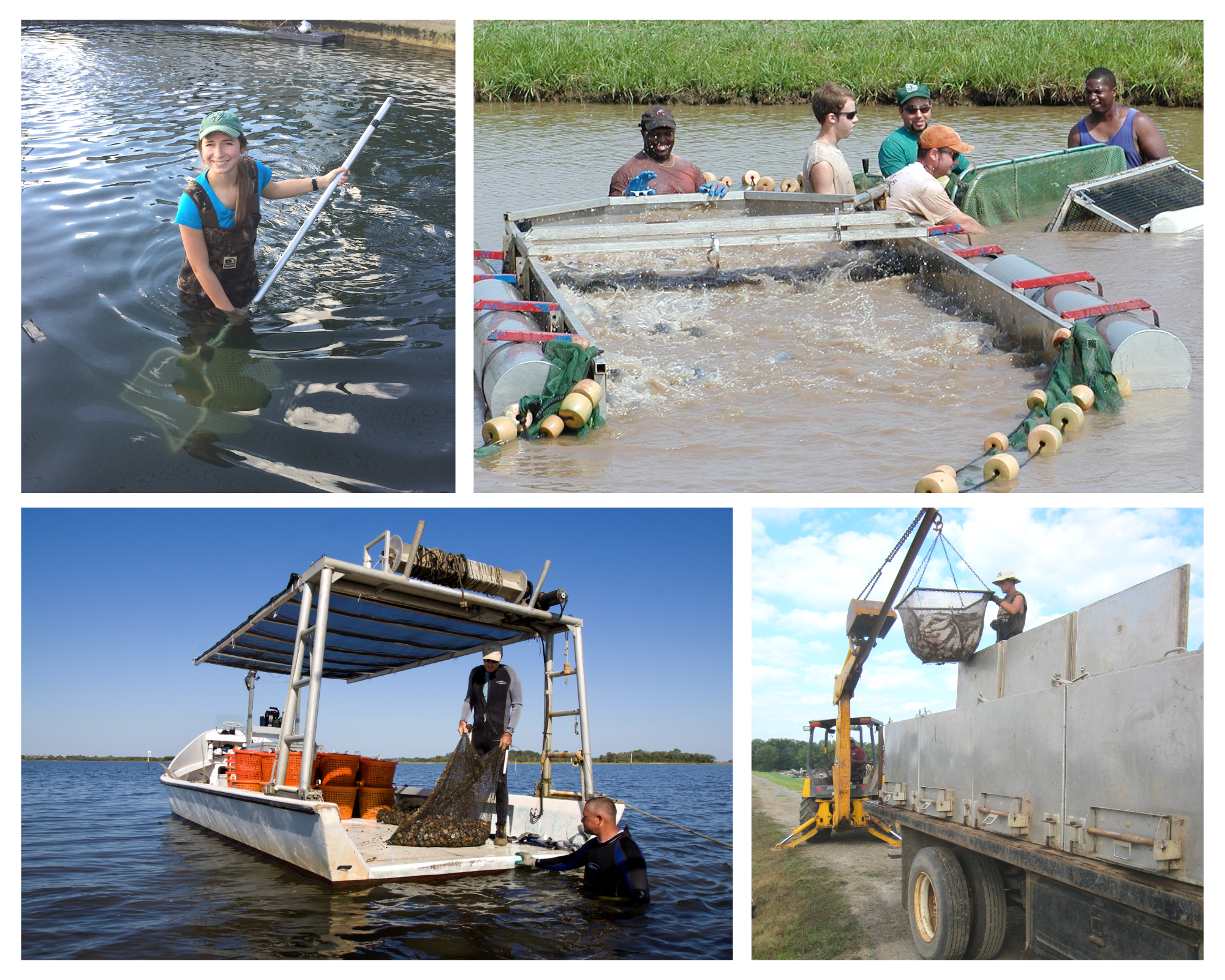 Introduction to U.S. Aquaculture and NRCS’s role in Supporting Farmers of Fish, Shellfish, and Aquatic Plants