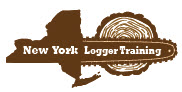 Webinar Sponsor Image