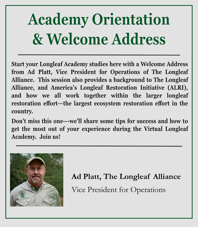 Academywelcomewebinargraphicgeneric.png
