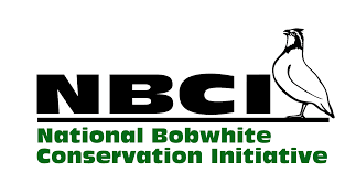 Webinar Sponsor Image