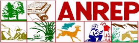 Webinar Sponsor Image