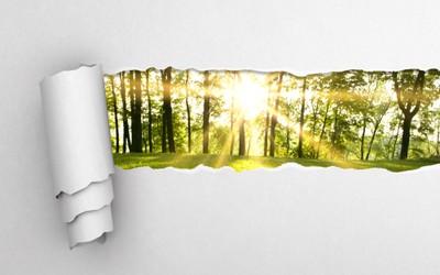 paper