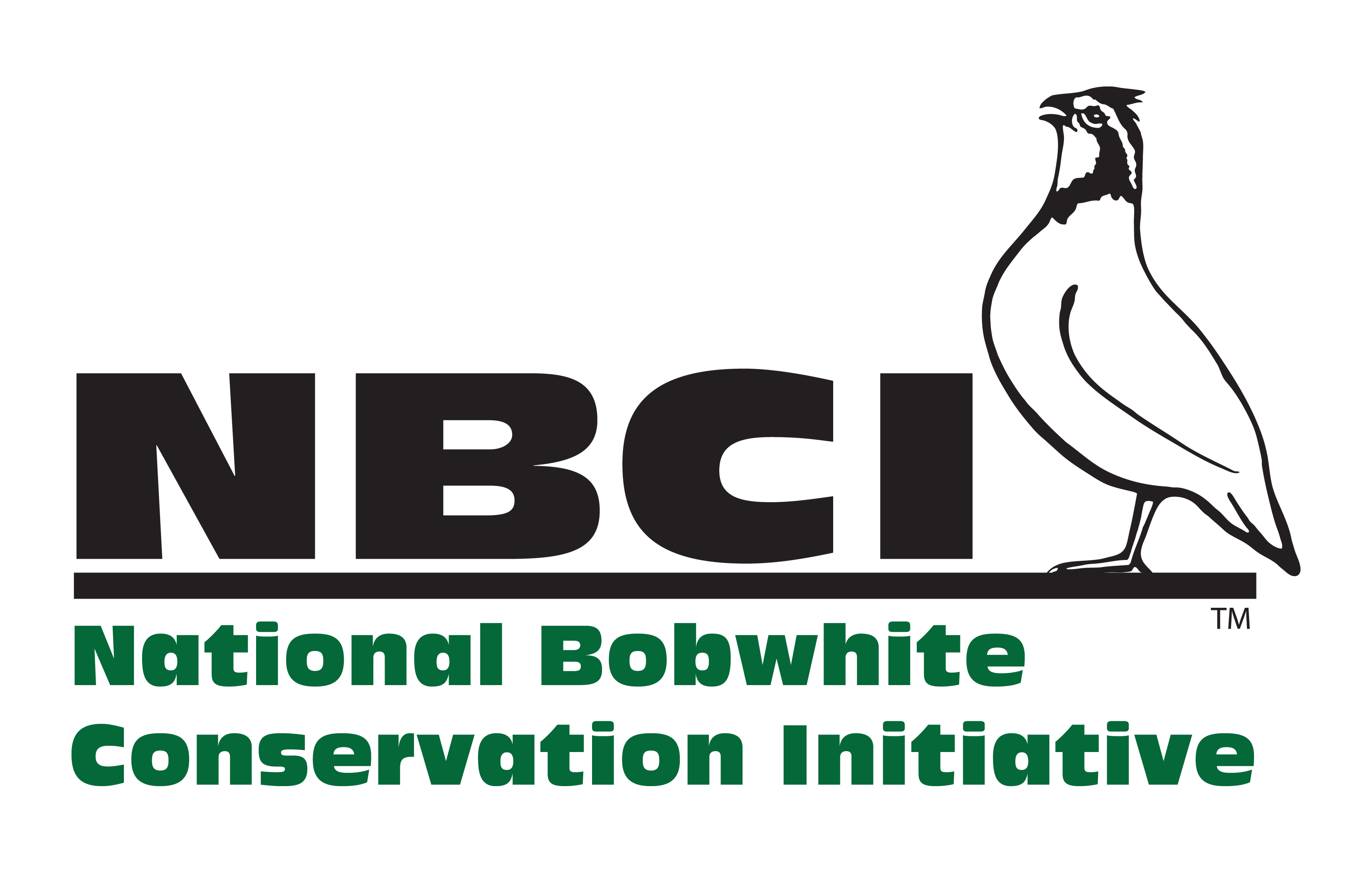 Webinar Sponsor Image
