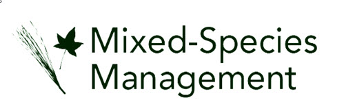 mixed stands logo