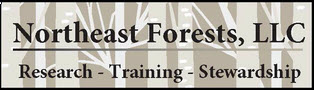 Webinar Sponsor Image