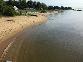 Webinar Preview Image