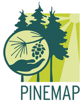 host url icon