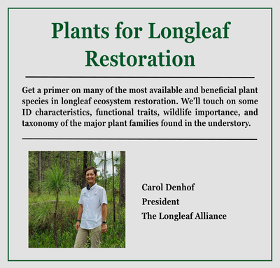 Plants GC image
