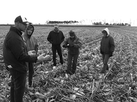 Webinar Preview Image