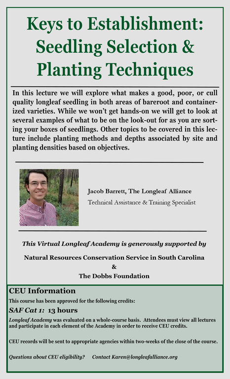 copy4_of_Seedlingplantingwebinargraphics.png