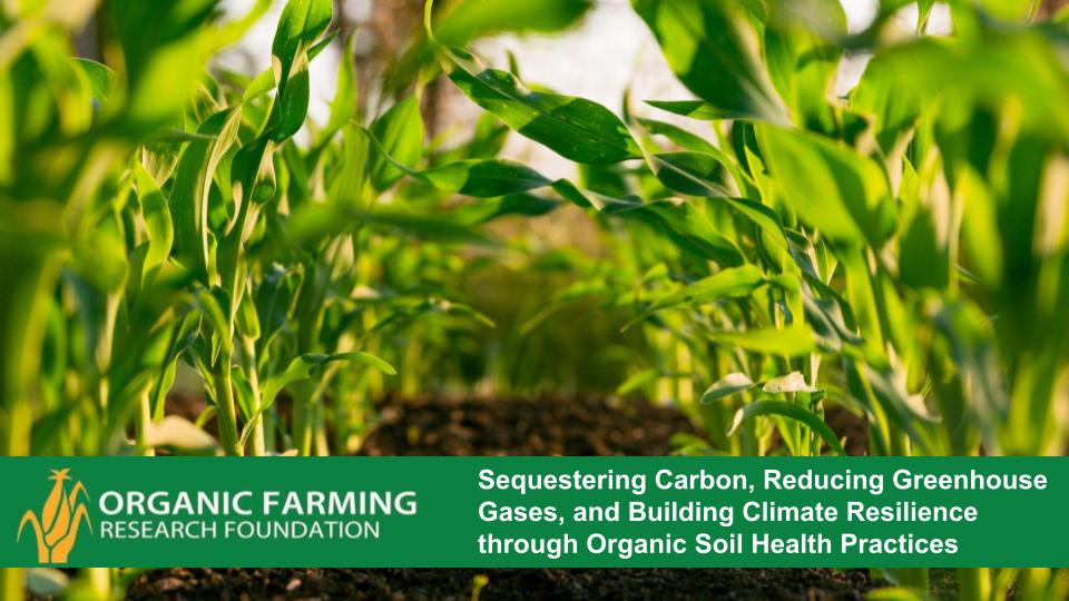 Webinar Preview Image