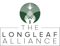 host url icon