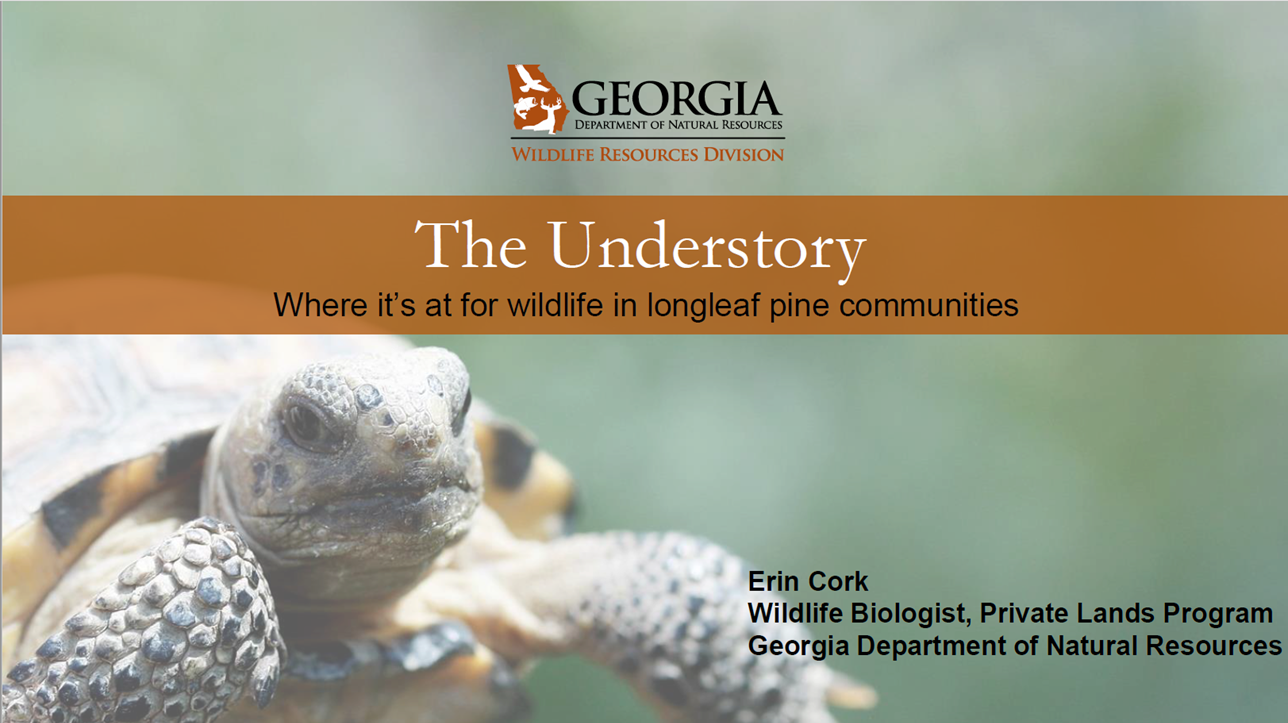 Webinar Preview Image