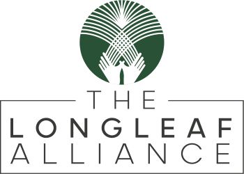 Webinar Sponsor Image