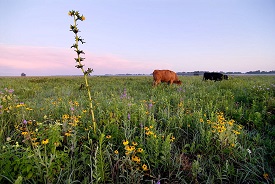 Webinar Preview Image