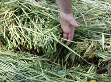 Webinar Preview Image