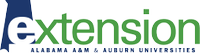 host url icon